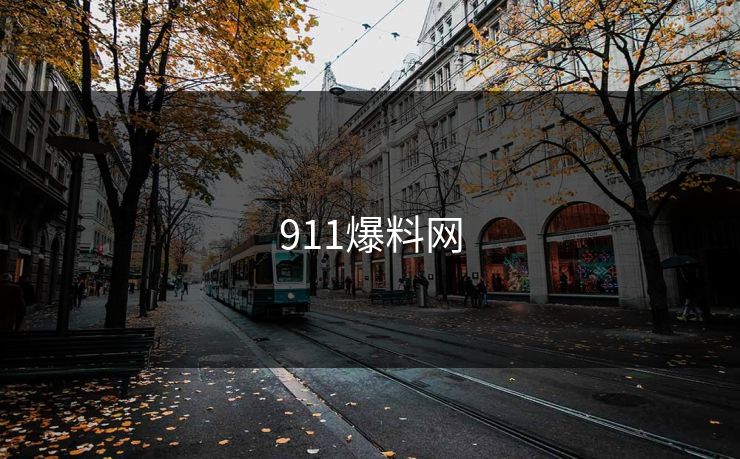 911爆料网