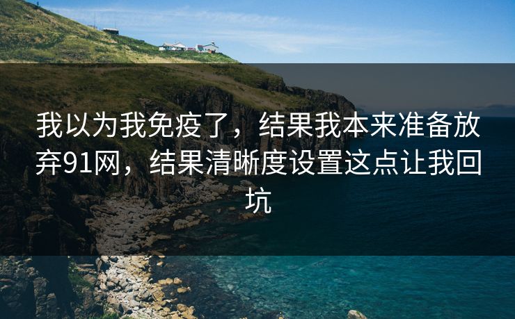 我以为我免疫了，结果我本来准备放弃91网，结果清晰度设置这点让我回坑