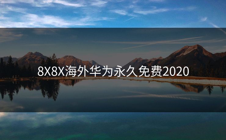 8X8X海外华为永久免费2020