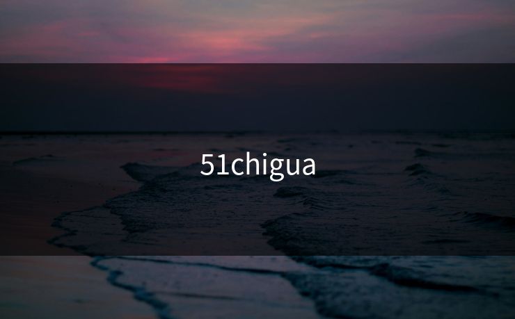 51chigua