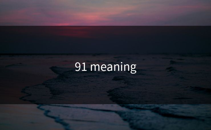 91 meaning